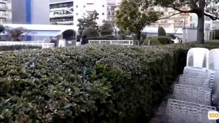 情圣这奶子真不错